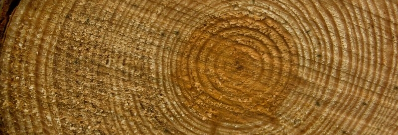 How wood you like that? - Whisky and Wisdom